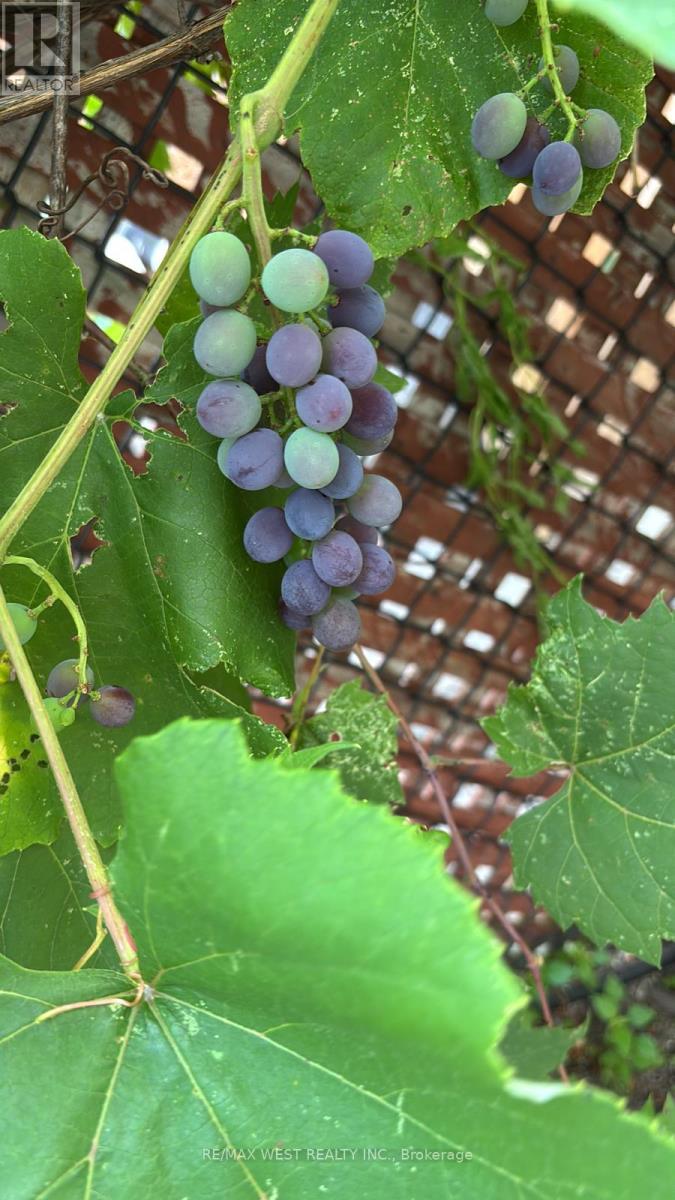 682 Napa Valley Avenue, Vaughan, Ontario  L4H 2J1 - Photo 46 - N12943204