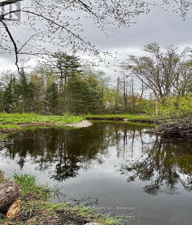 2348 NORTHEY'S BAY ROAD, North Kawartha, Ontario