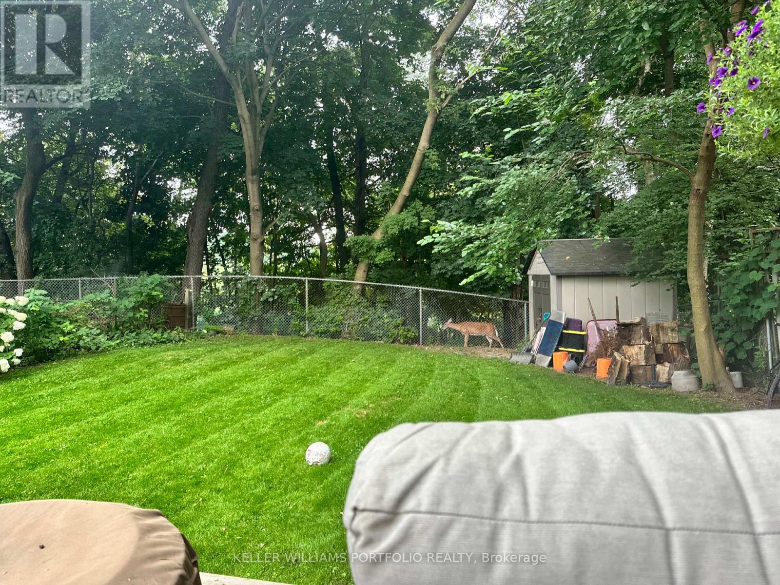 49 Dolphin Drive, Toronto, Ontario  M1L 1N5 - Photo 33 - E12922960