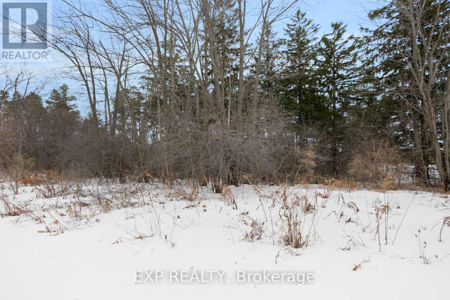 24 Williams Street, Markham, Ontario  L6C 0C2 - Photo 25 - N12944186