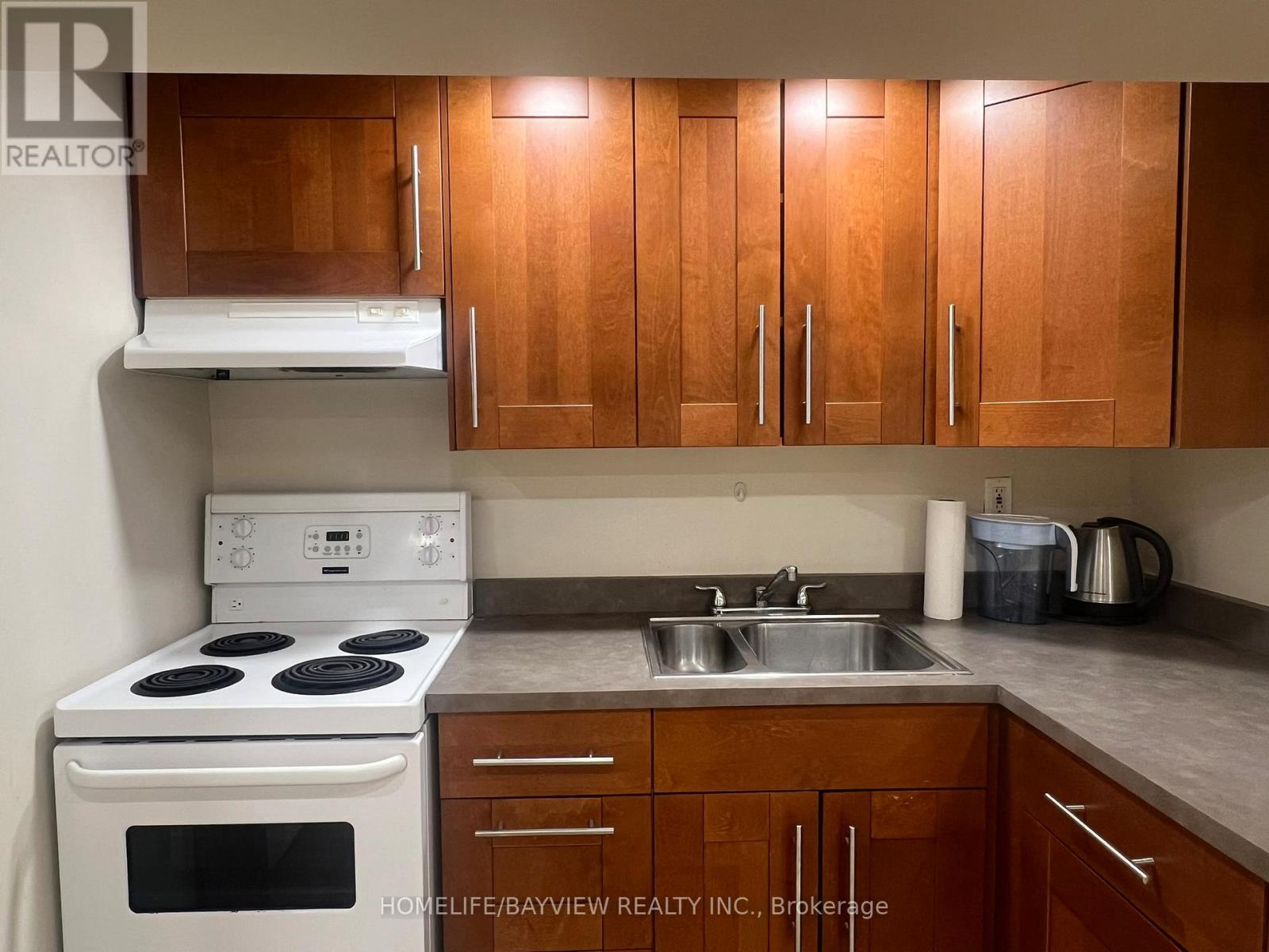 Bmnt - 74 Newbury Drive, Newmarket, Ontario  L3Y 4R3 - Photo 4 - N12944376