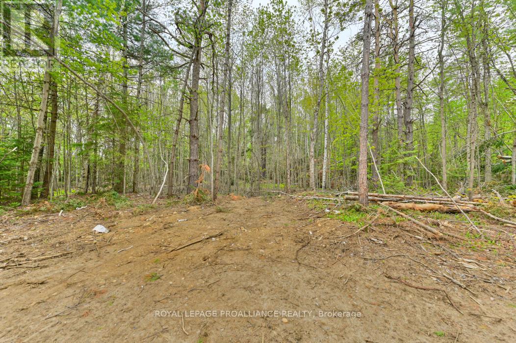 1031 Road 506, North Frontenac, Ontario  K0H 1K0 - Photo 26 - X12936466