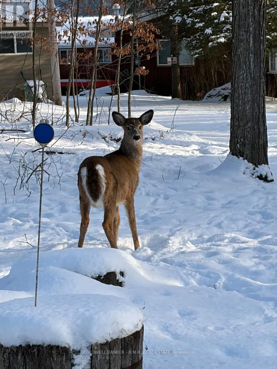 1115 Cook Road, Marmora And Lake, Ontario  K0K 2M0 - Photo 28 - X12934734