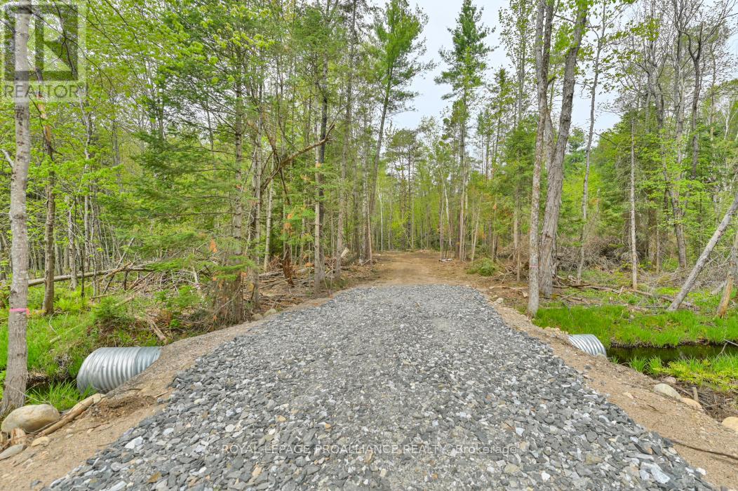 1031 Road 506, North Frontenac, Ontario  K0H 1K0 - Photo 4 - X12936466