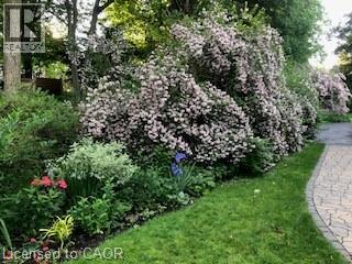 286 Union Street, Simcoe, Ontario  N3Y 2B8 - Photo 39 - 40809858