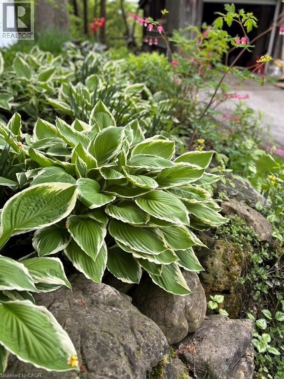 1112 Safari Road, Millgrove, Ontario  L8B 1A4 - Photo 42 - 40815043