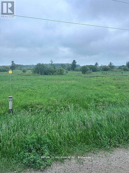 225701a Southgate 22 Road, Southgate, Ontario  N0C 1B0 - Photo 6 - X12944246