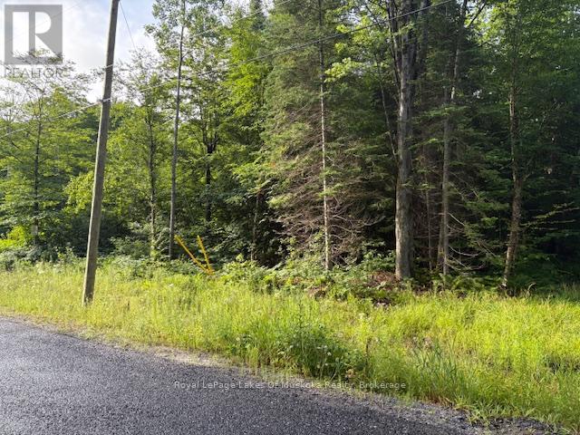 48 Summer Leigh Trail, Huntsville, Ontario  P0B 1M0 - Photo 3 - X12944646