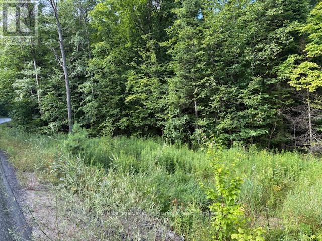 1788 Old Muskoka Road, Huntsville, Ontario  P0B 1M0 - Photo 3 - X12944820