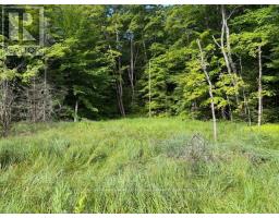 1788 OLD MUSKOKA ROAD, huntsville (stephenson), Ontario