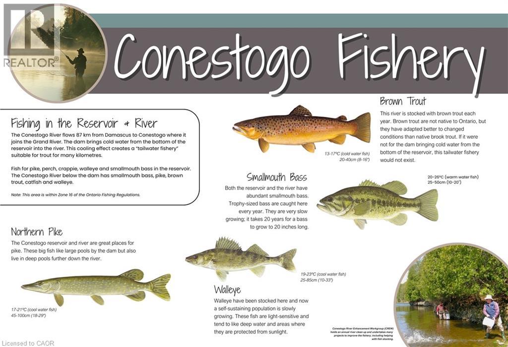 457 Road 4 N, Conestogo Lake, Ontario  N0G 1P0 - Photo 28 - 40816847