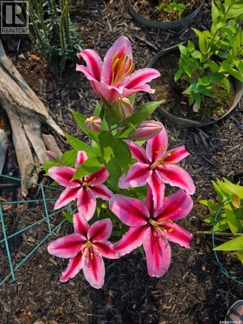 1022 Roaster Road, Mervin Rm No.499, Saskatchewan  S0M 1J0 - Photo 33 - SK031634