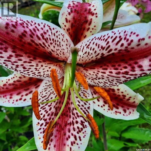 1022 Roaster Road, Mervin Rm No.499, Saskatchewan  S0M 1J0 - Photo 29 - SK031634