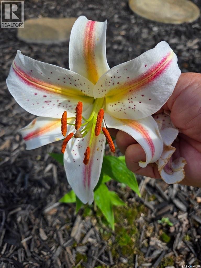 1022 Roaster Road, Mervin Rm No.499, Saskatchewan  S0M 1J0 - Photo 35 - SK031634