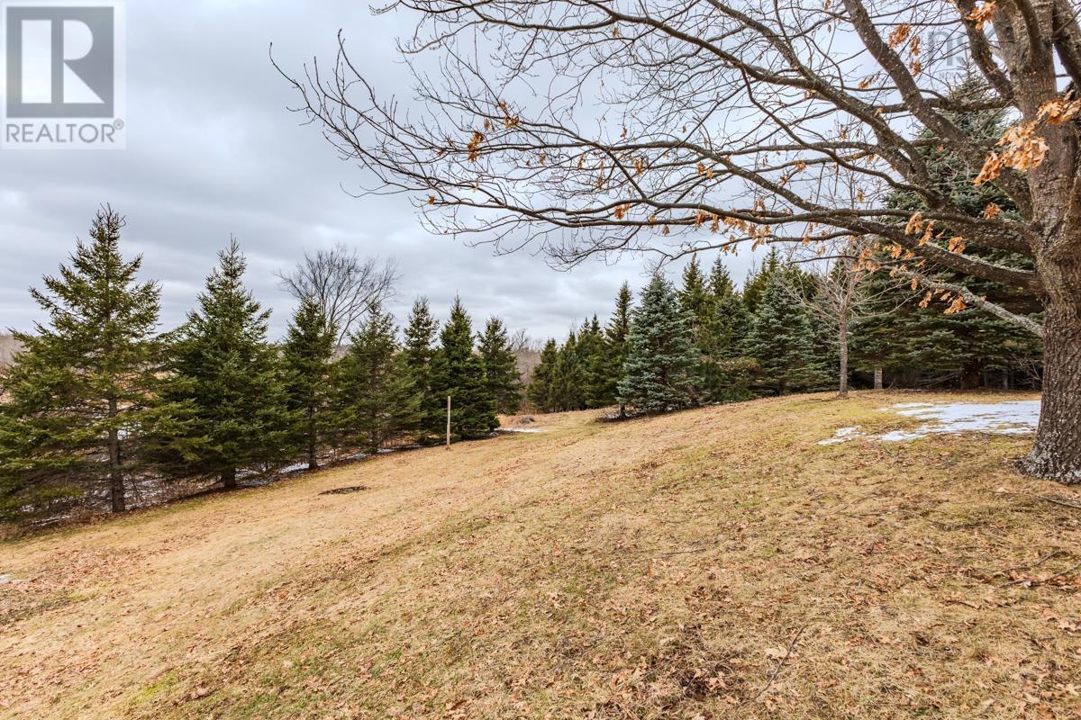 161 Highway 311 Loop, Balfron, Nova Scotia  B0K 1V0 - Photo 48 - 202606022