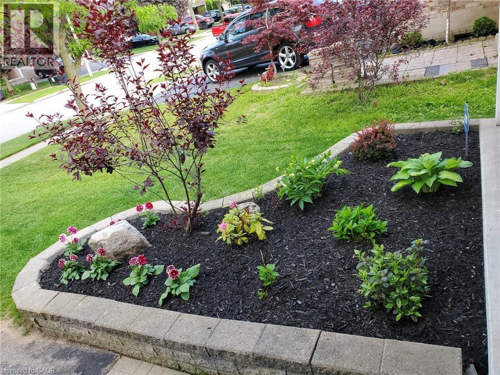 40 Crawford Crescent, Cambridge, Ontario  N1T 1X7 - Photo 4 - 40814970