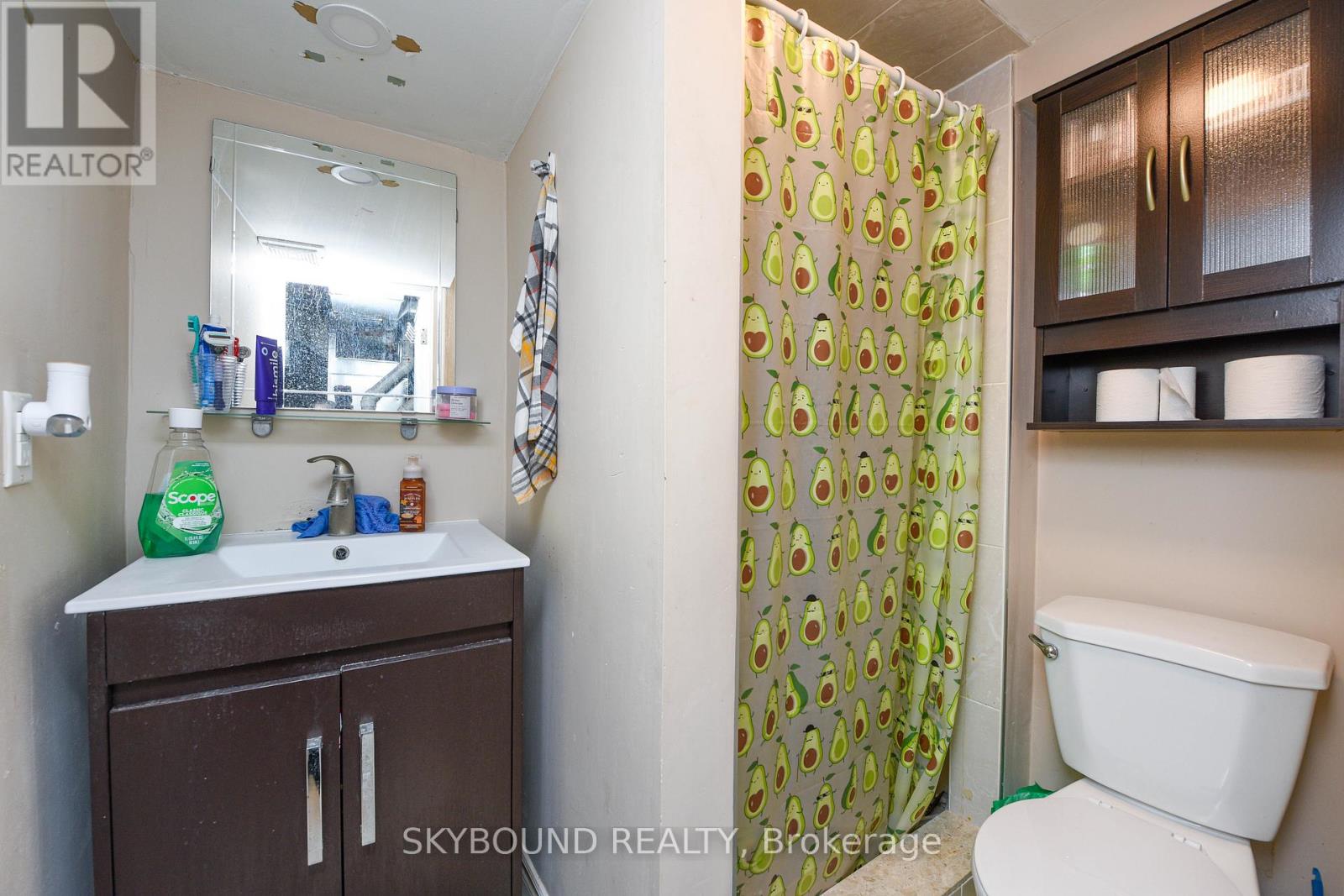 32 Victoria Avenue, Halton Hills, Ontario  L7J 1Y9 - Photo 40 - W12633380