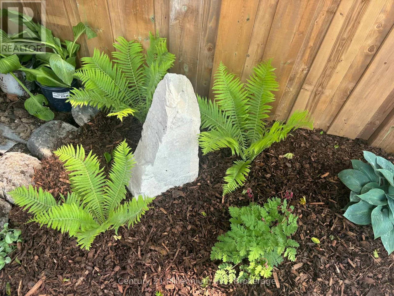 251 William Street, South Bruce Peninsula, Ontario  N0H 2T0 - Photo 31 - X12945032