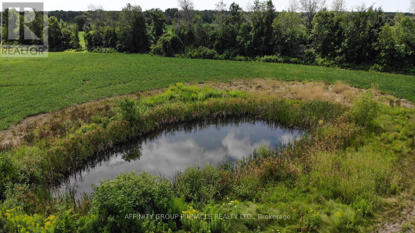 4026 Highway 12, Ramara, Ontario  L0K 1B0 - Photo 14 - S12945168