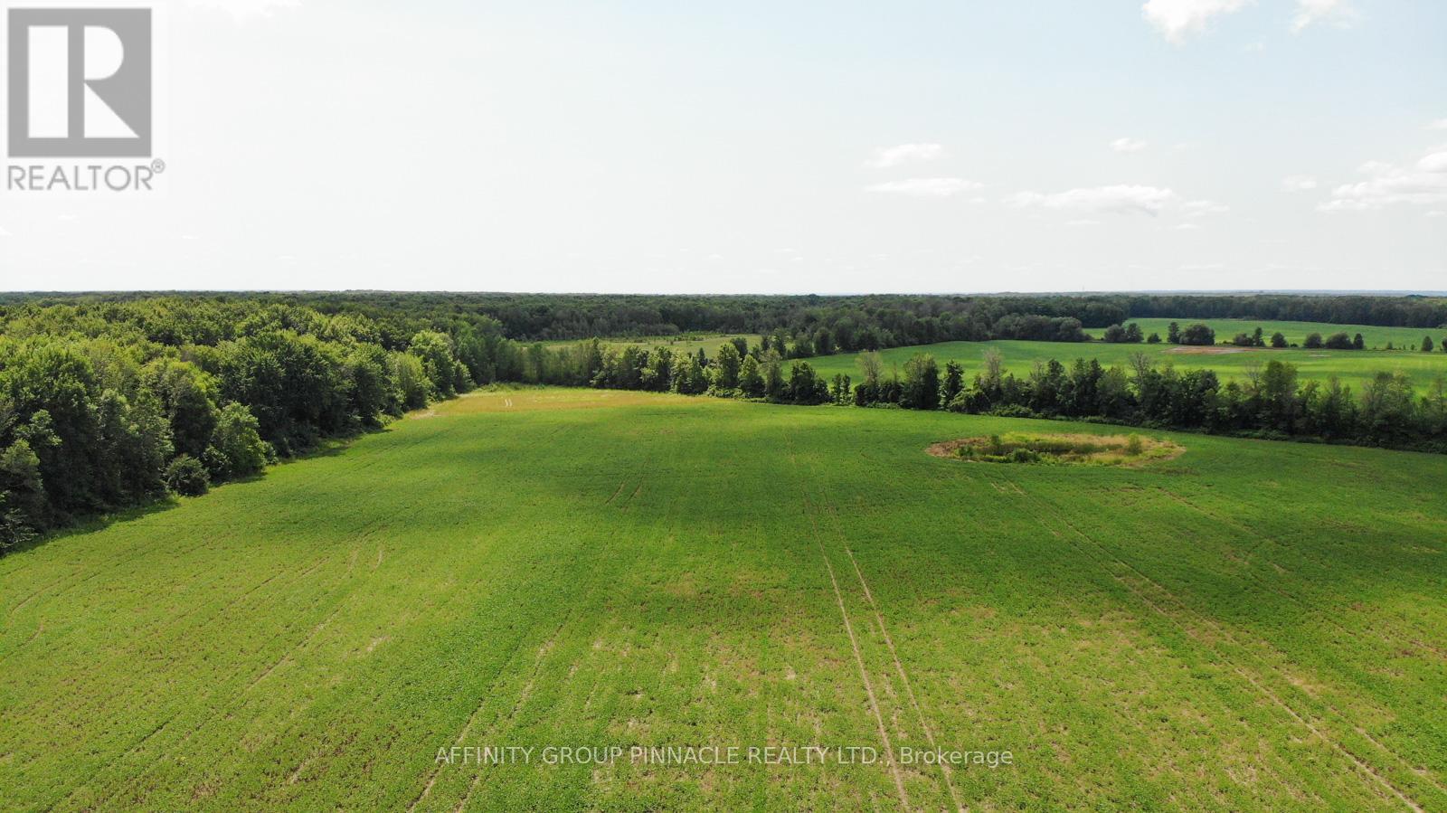 4026 Highway 12, Ramara, Ontario  L0K 1B0 - Photo 12 - S12945172