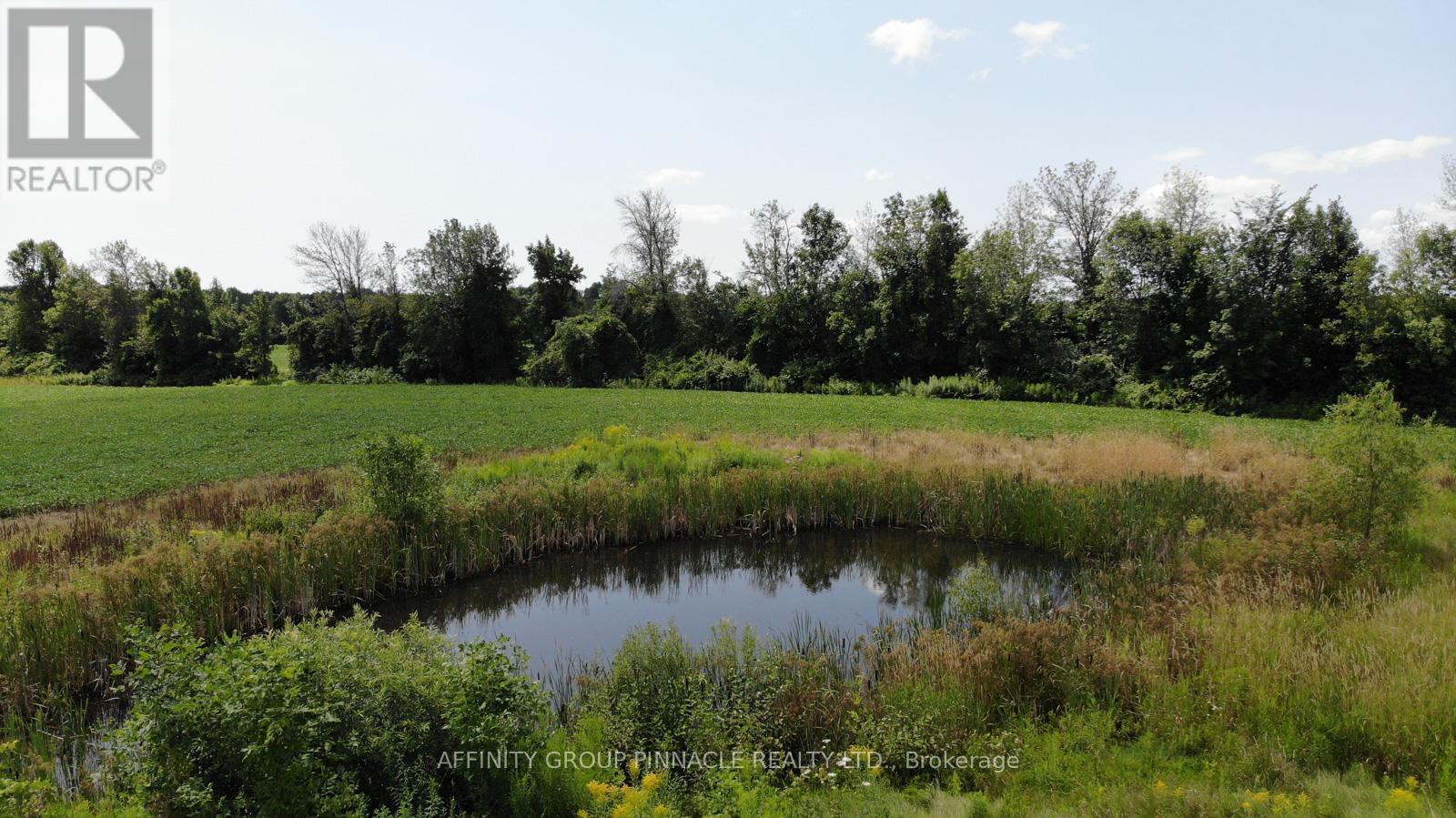 4026 Highway 12, Ramara, Ontario  L0K 1B0 - Photo 15 - S12945172