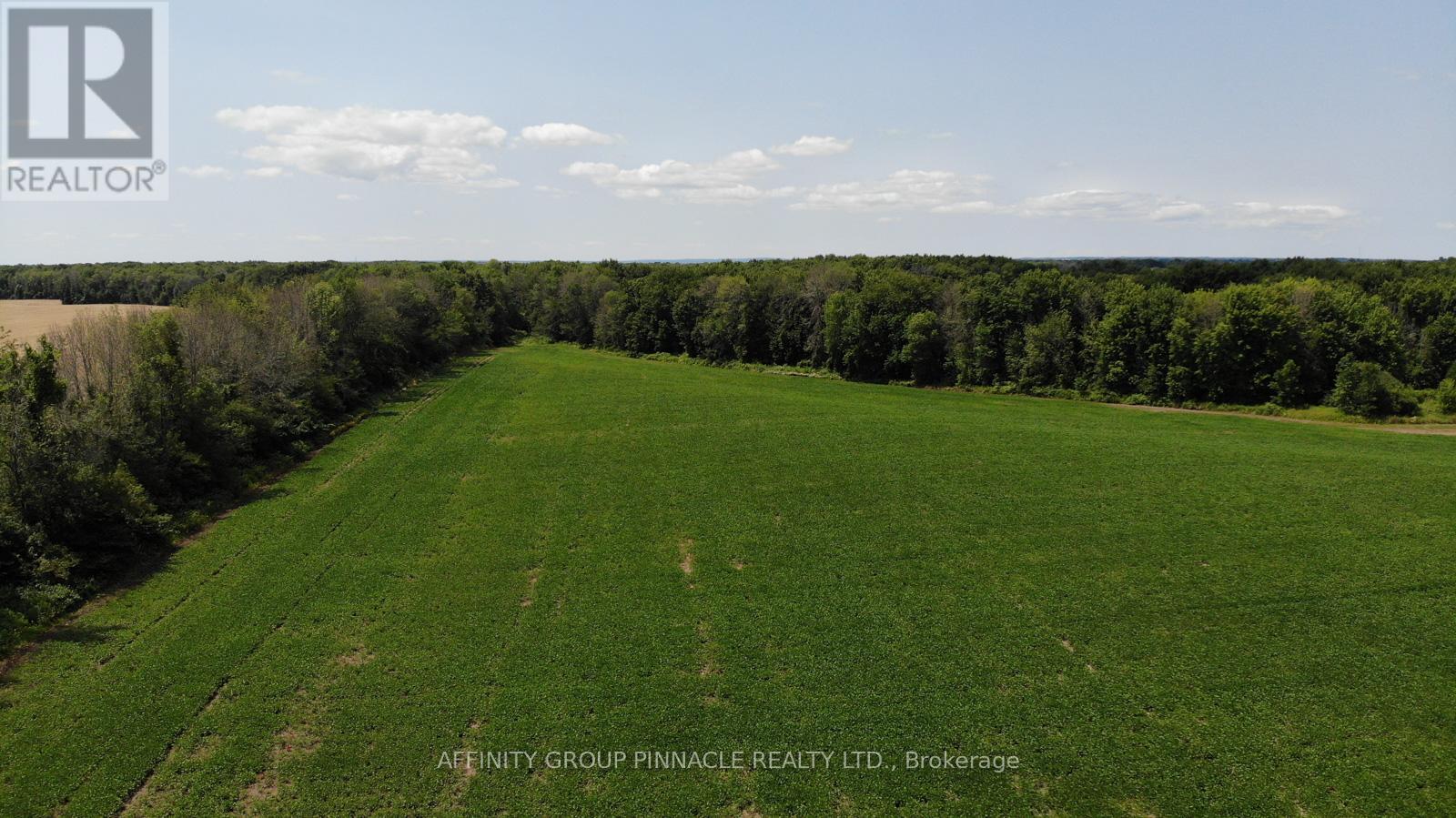 4026 Highway 12, Ramara, Ontario  L0K 1B0 - Photo 2 - S12945172