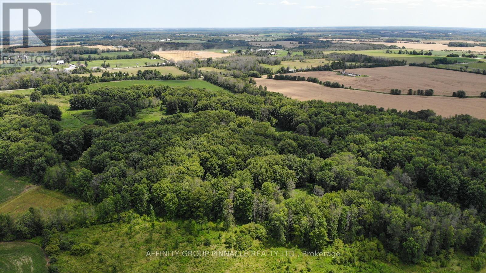 4026 Highway 12, Ramara, Ontario  L0K 1B0 - Photo 21 - S12945172