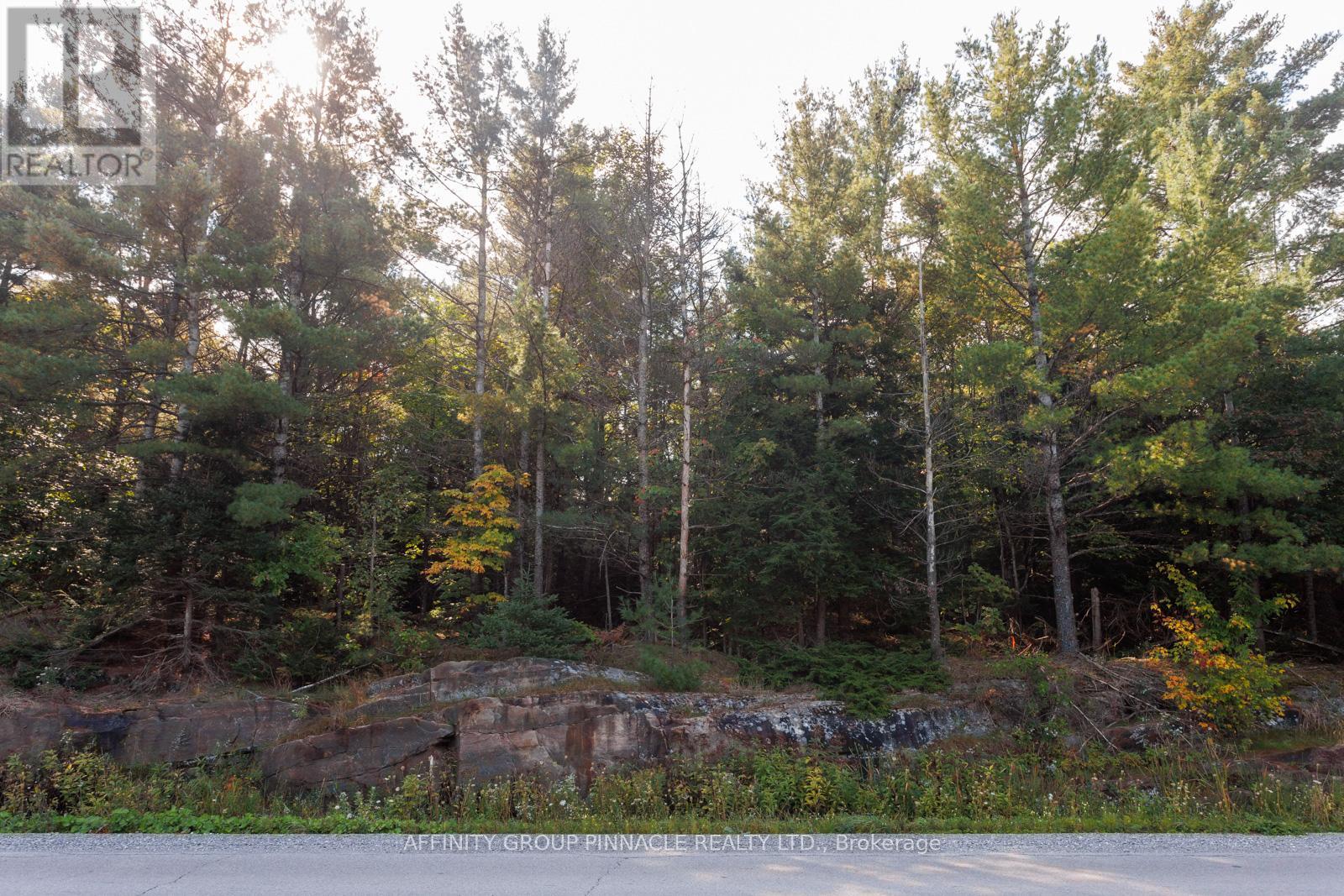 Part 3 - 0 Monck Road, Kawartha Lakes, Ontario  K0M 1X0 - Photo 2 - X12945020