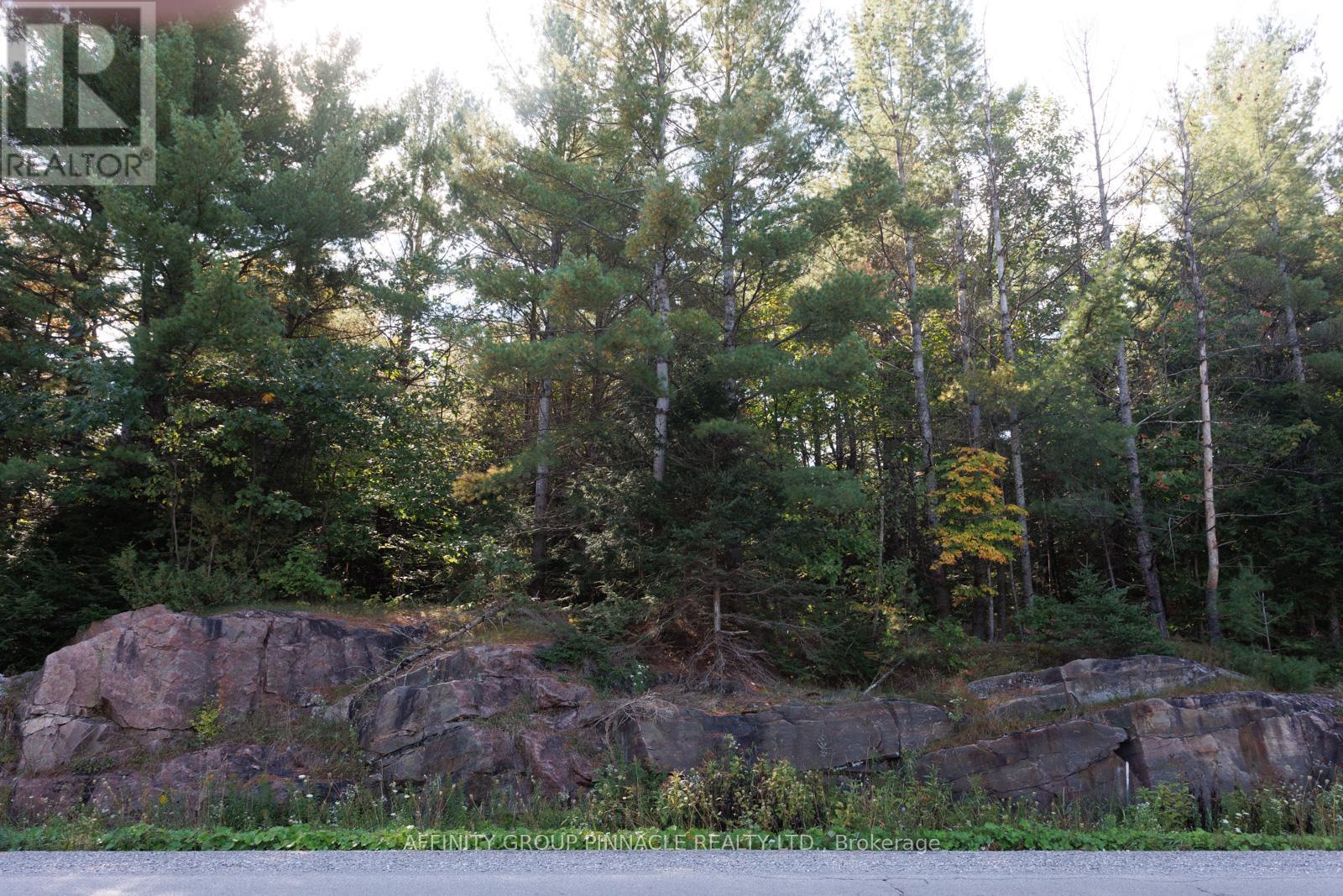 Part 3 - 0 Monck Road, Kawartha Lakes, Ontario  K0M 1X0 - Photo 5 - X12945020