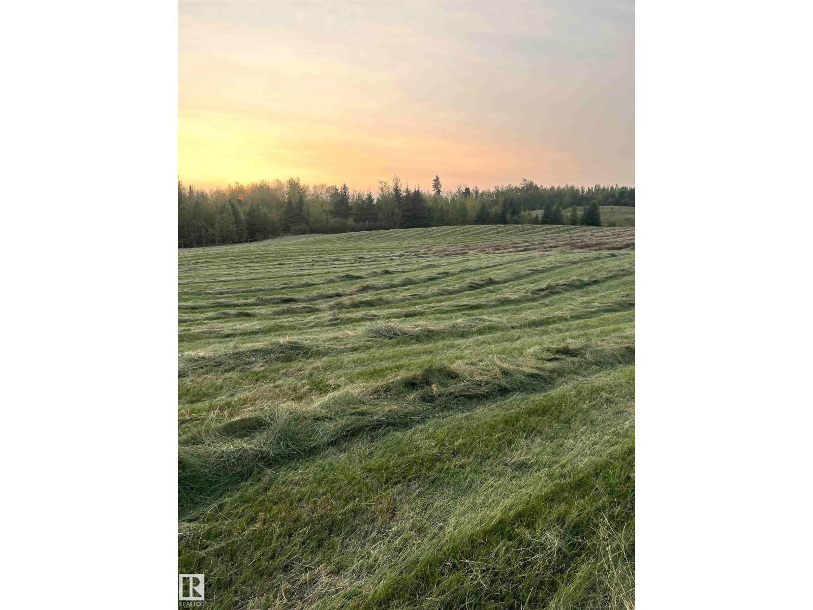 463025 Rge Road 40 A, Rural Wetaskiwin County, Alberta  T0C 2X0 - Photo 24 - E4479994