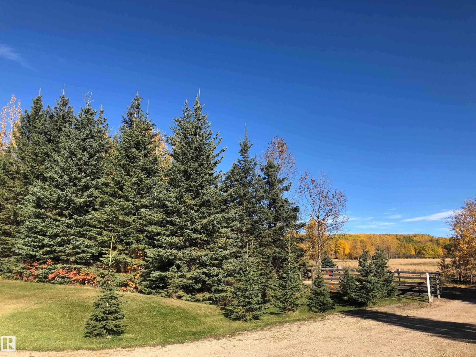 463025 Rge Road 40 A, Rural Wetaskiwin County, Alberta  T0C 2X0 - Photo 17 - E4479994