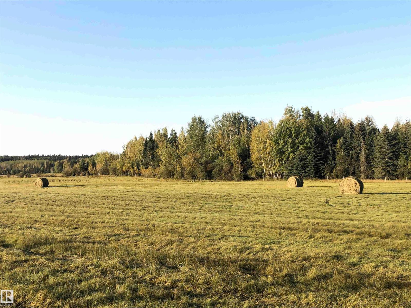 463025 Rge Road 40 A, Rural Wetaskiwin County, Alberta  T0C 2X0 - Photo 25 - E4479994