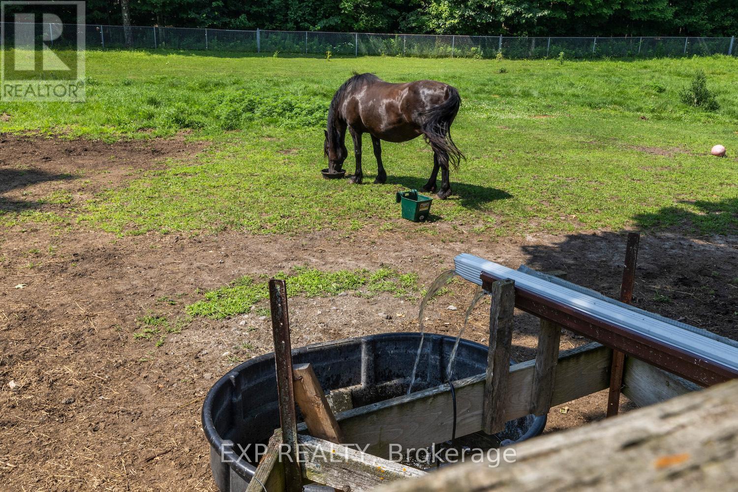 466 Wolf Grove Road, Mississippi Mills, Ontario  K0A 1A0 - Photo 20 - X12945120