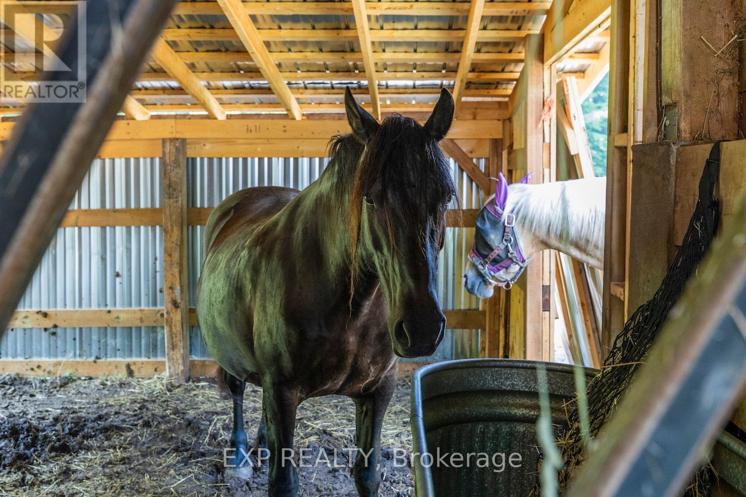 466 Wolf Grove Road, Mississippi Mills, Ontario  K0A 1A0 - Photo 22 - X12945120