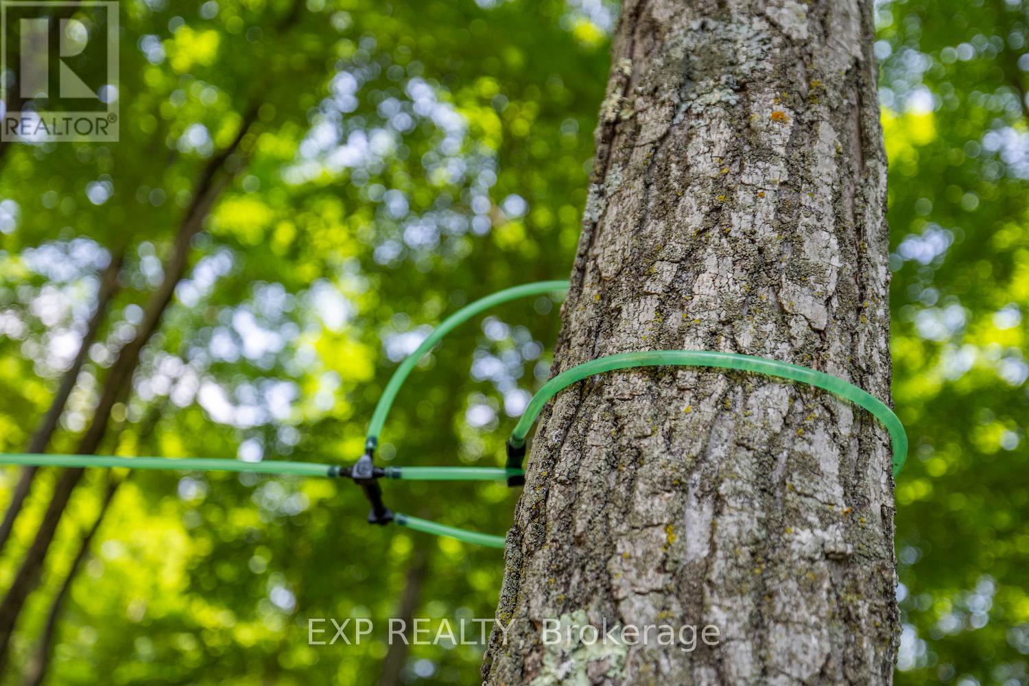 466 Wolf Grove Road, Mississippi Mills, Ontario  K0A 1A0 - Photo 29 - X12945120