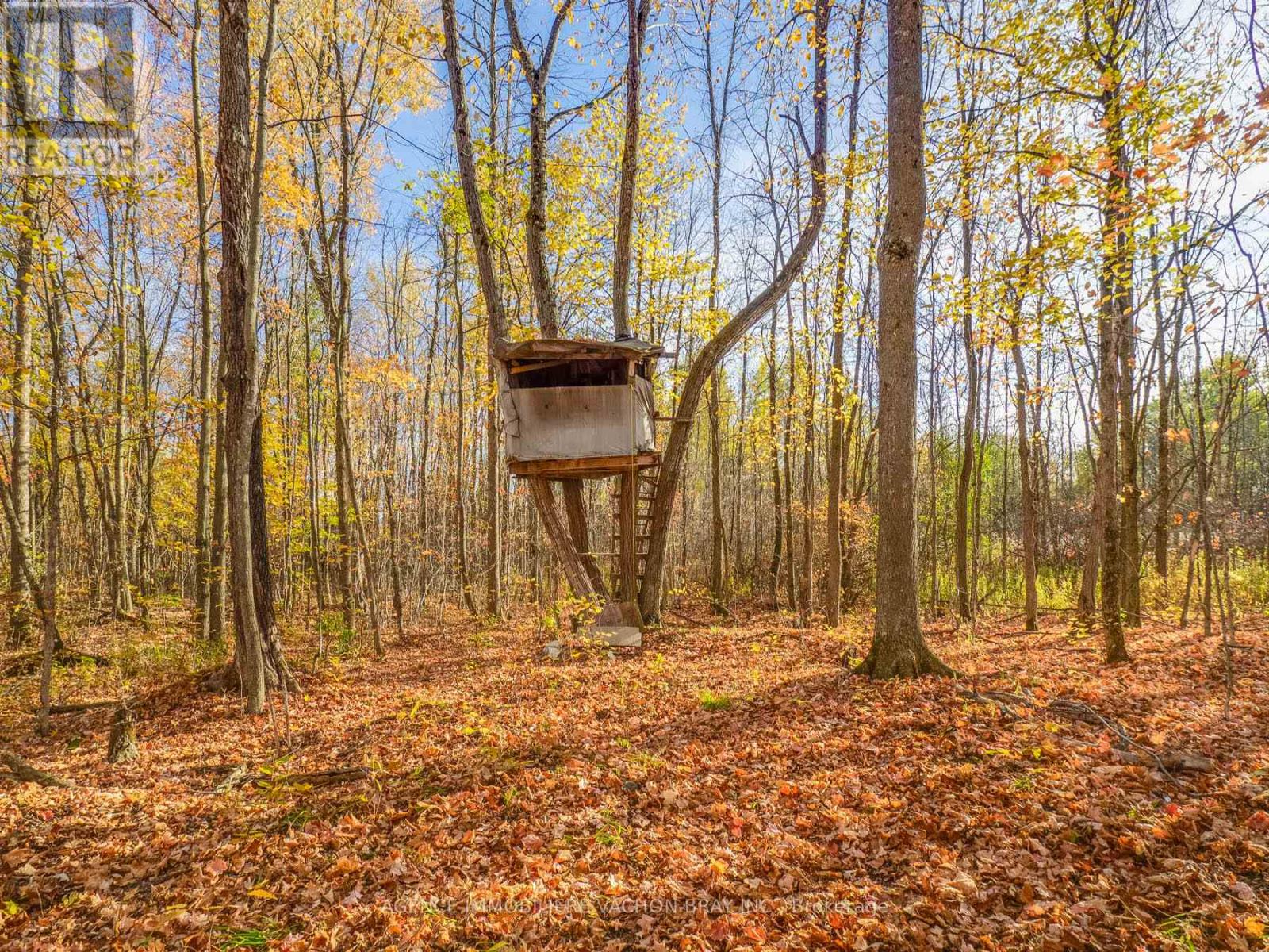 18668 Concession 2 Road, North Glengarry, Ontario  K0C 1B0 - Photo 38 - X12371696