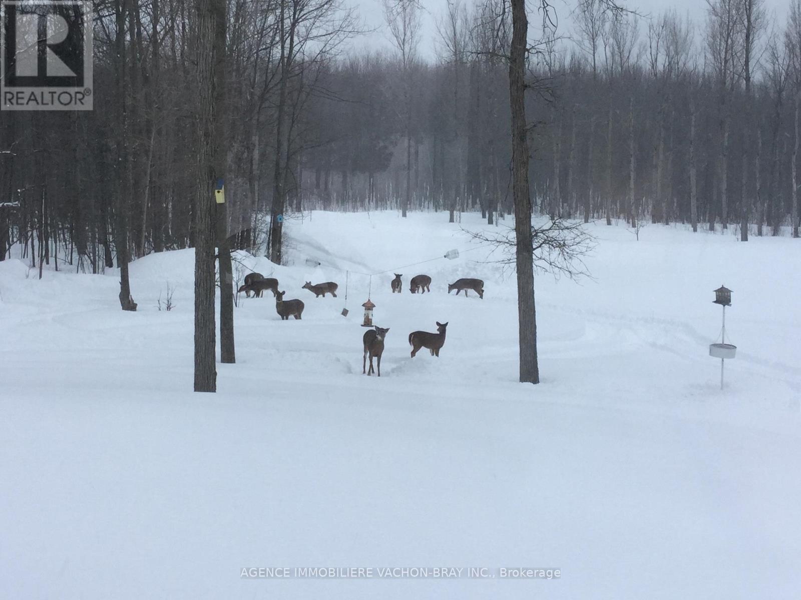 18668 Concession 2 Road, North Glengarry, Ontario  K0C 1B0 - Photo 48 - X12371696