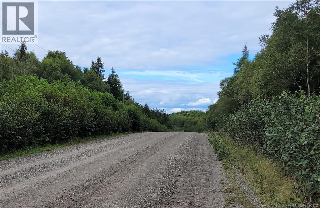 321 Fundy Drive, Wilsons Beach, New Brunswick  E5E 1X2 - Photo 2 - NB136180