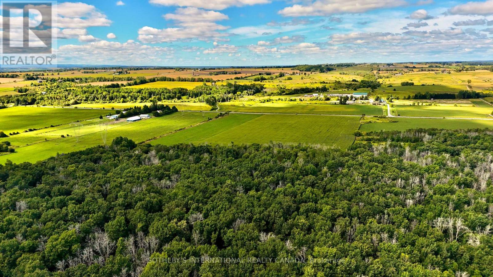5231 13th Line, New Tecumseth, Ontario  L0G 1B0 - Photo 11 - N12945144