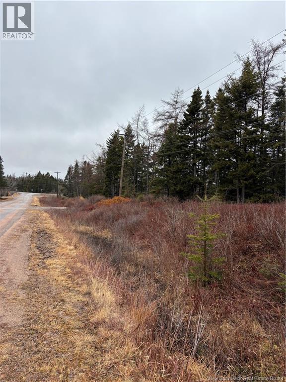 Mink Brook Road, Lepreau, New Brunswick  E5J 1K7 - Photo 5 - NB134050