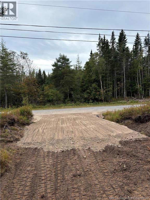 Mink Brook Road, Lepreau, New Brunswick  E5J 1K7 - Photo 12 - NB134050