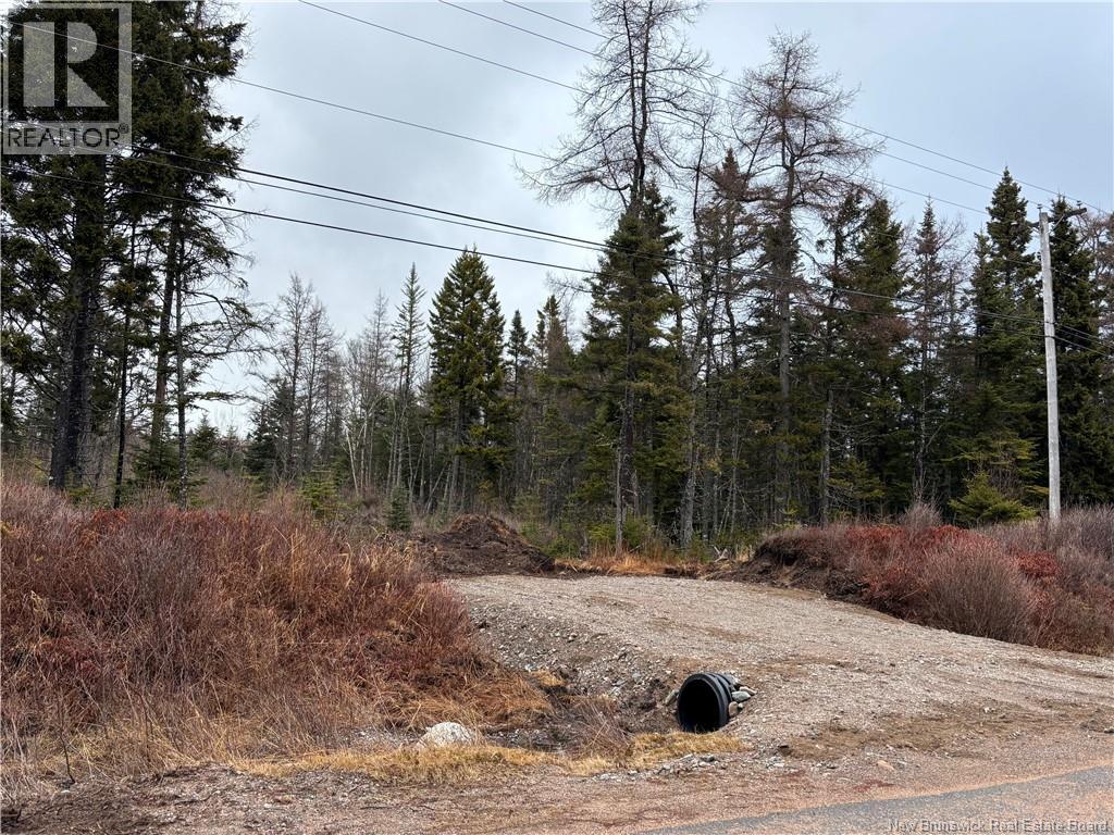 Mink Brook Road, Lepreau, New Brunswick  E5J 1K7 - Photo 1 - NB134050