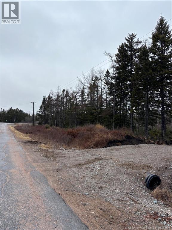 Mink Brook Road, Lepreau, New Brunswick  E5J 1K7 - Photo 3 - NB134050