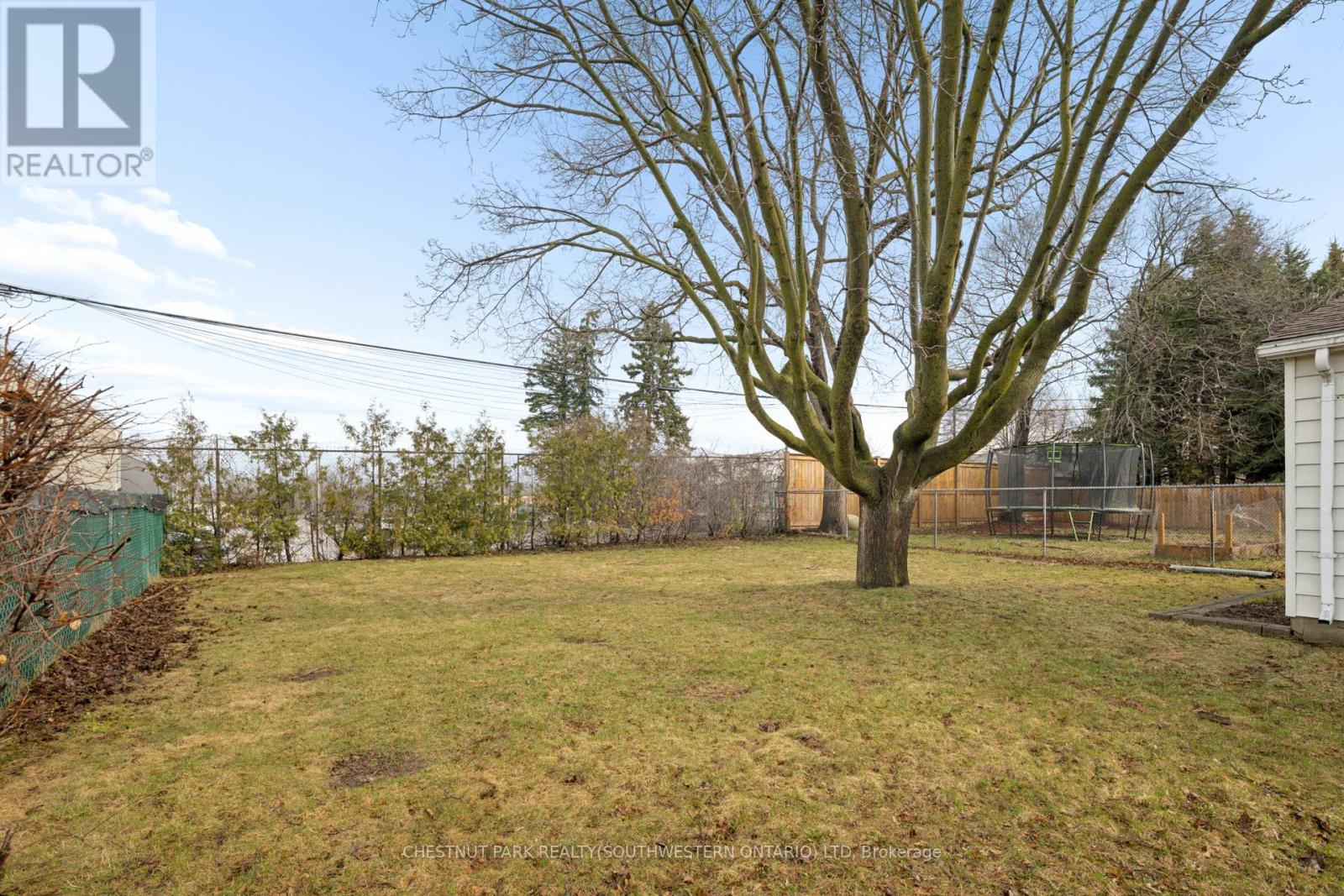 492 Ephraim Street, Kitchener, Ontario  N2B 2C6 - Photo 43 - X12944924