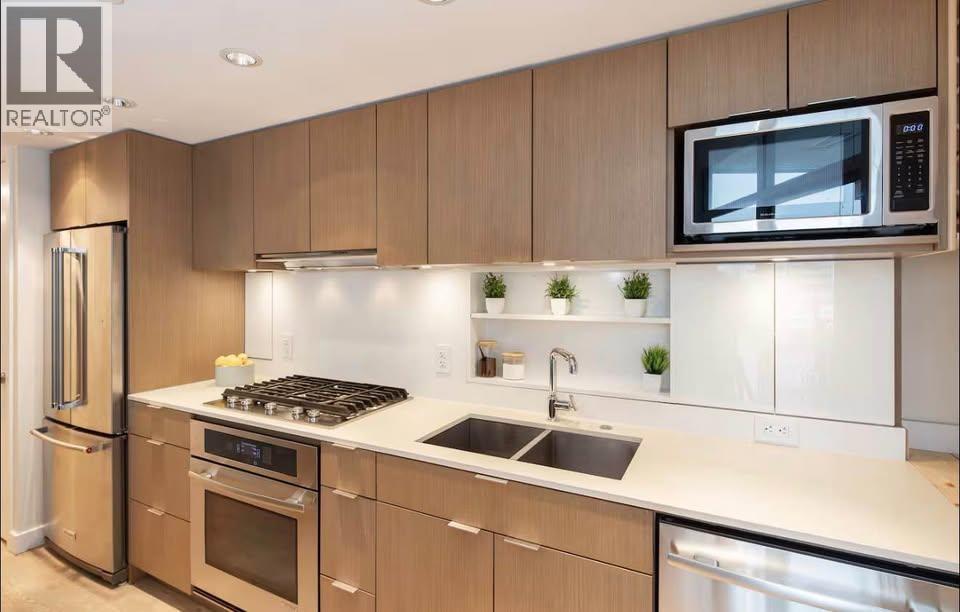 302 161 E 1st Avenue, Vancouver, British Columbia  V6A 0G1 - Photo 5 - R3103741
