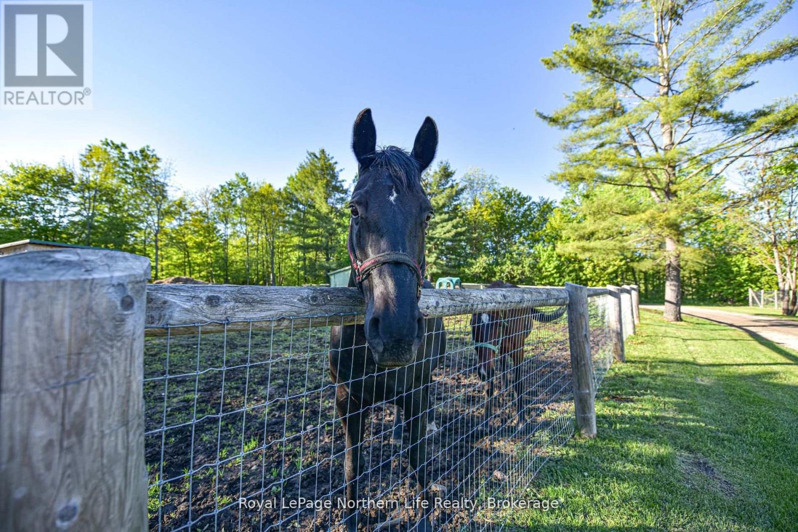 1028 Carlyon Line, Severn, Ontario  L3V 0W8 - Photo 42 - S12945372