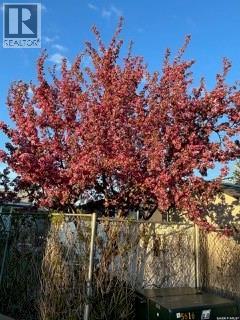 106 Laurentian Drive, Saskatoon, Saskatchewan  S7H 4M2 - Photo 45 - SK031822