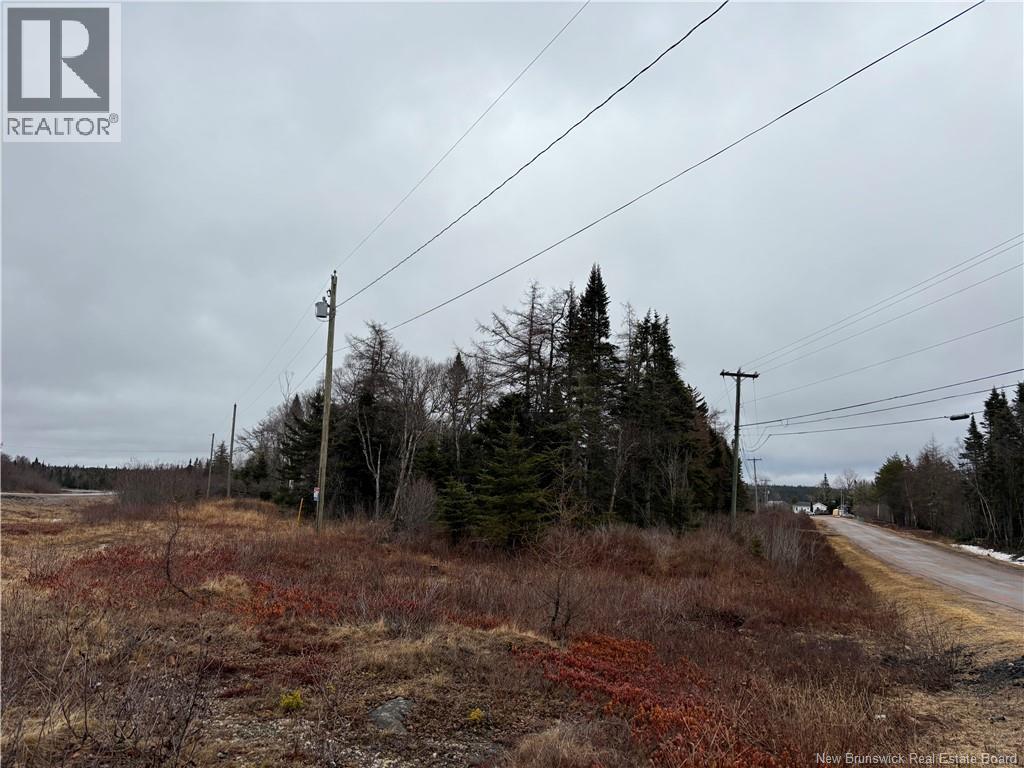 Mink Brook Road, Lepreau, New Brunswick  E5J 1K7 - Photo 4 - NB134050