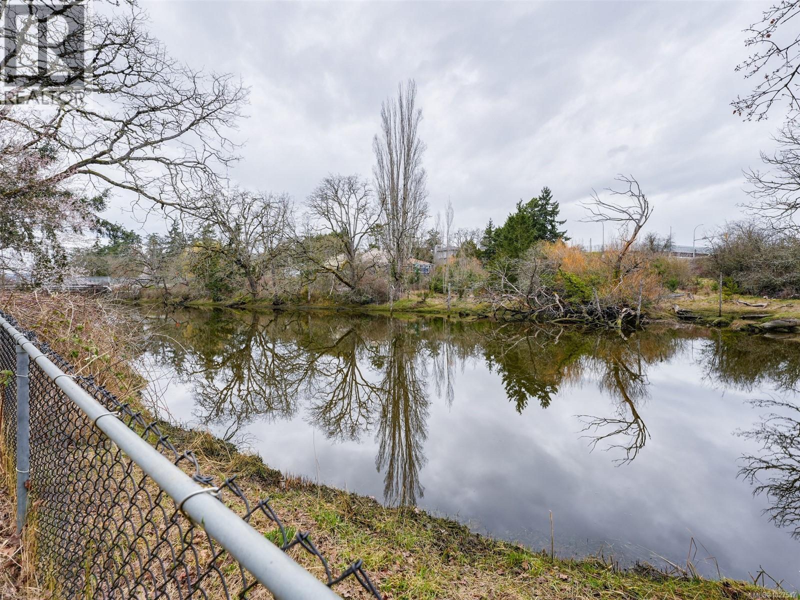 756 Newbury St, Saanich, British Columbia  V9A 2C1 - Photo 50 - 1027547