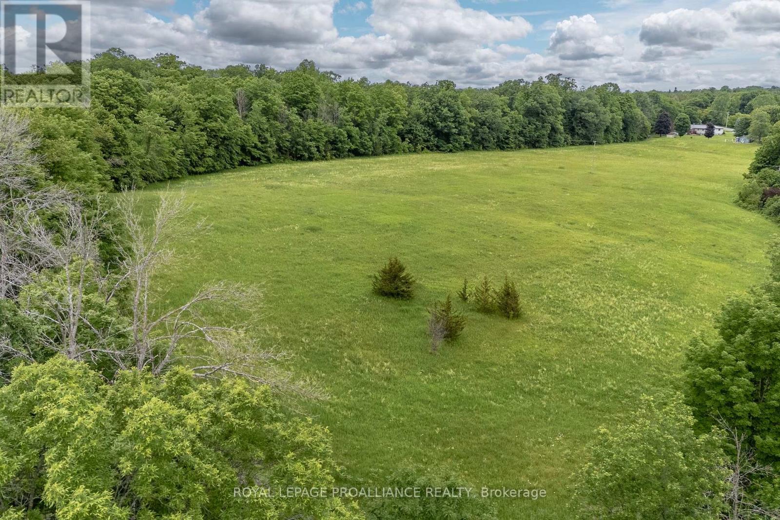 5035 Blessington Road, Tyendinaga, Ontario  K0K 2N0 - Photo 10 - X12945708